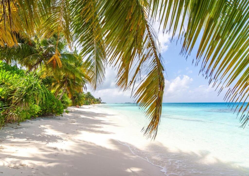 Unwind Dhigurah Hotel Dhigurah  Exterior photo
