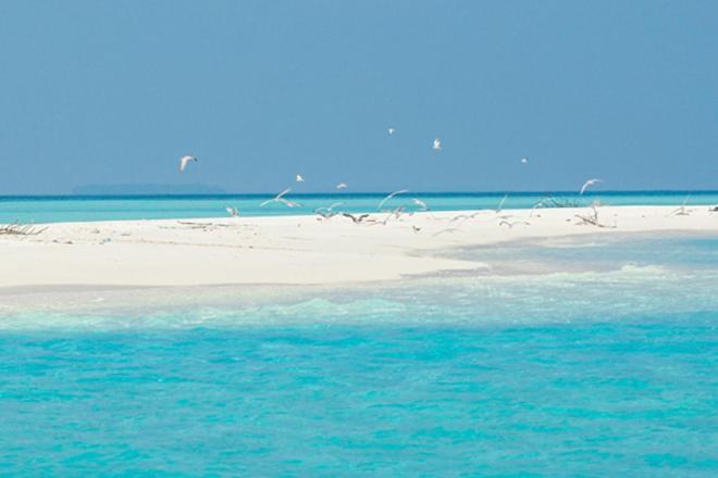 Unwind Dhigurah Hotel Dhigurah  Exterior photo